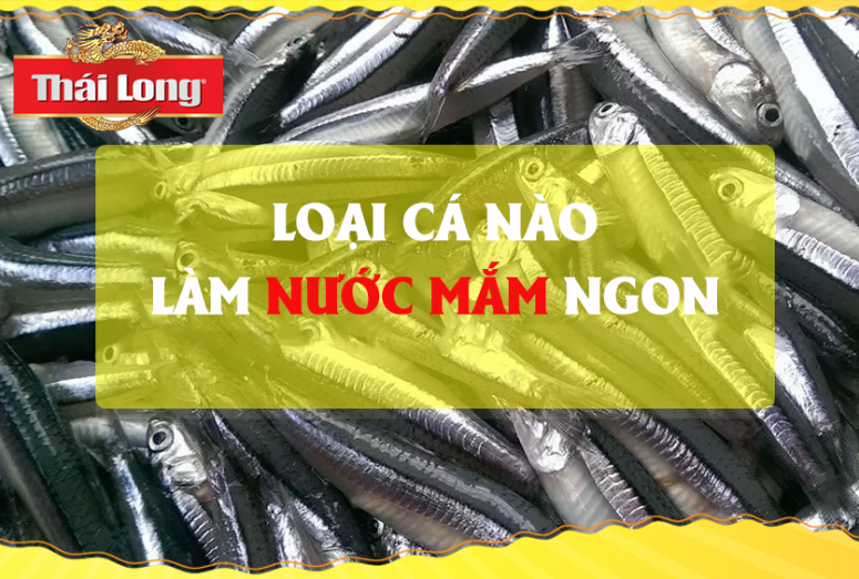 LOẠI CÁ NÀO LÀM ĐƯỢC NƯỚC MẮM NGON